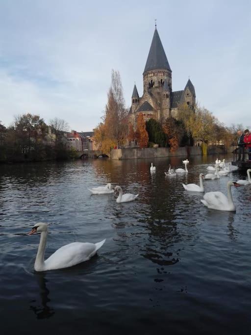 Lumineux Et Cosy, Avec Parking, 2 Mn Gare, 2Mn Muse, 5Mn Centre Apartment Metz Exterior foto